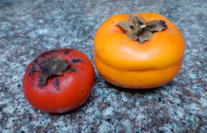 Images of persimmon fruit