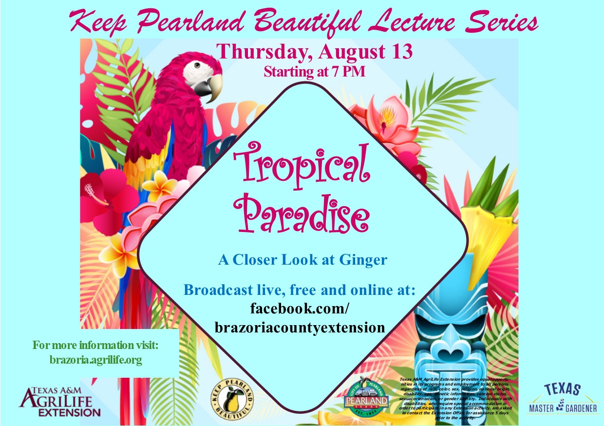 KPB Lecture: Ginger