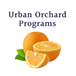 Hort - Urban Orchard