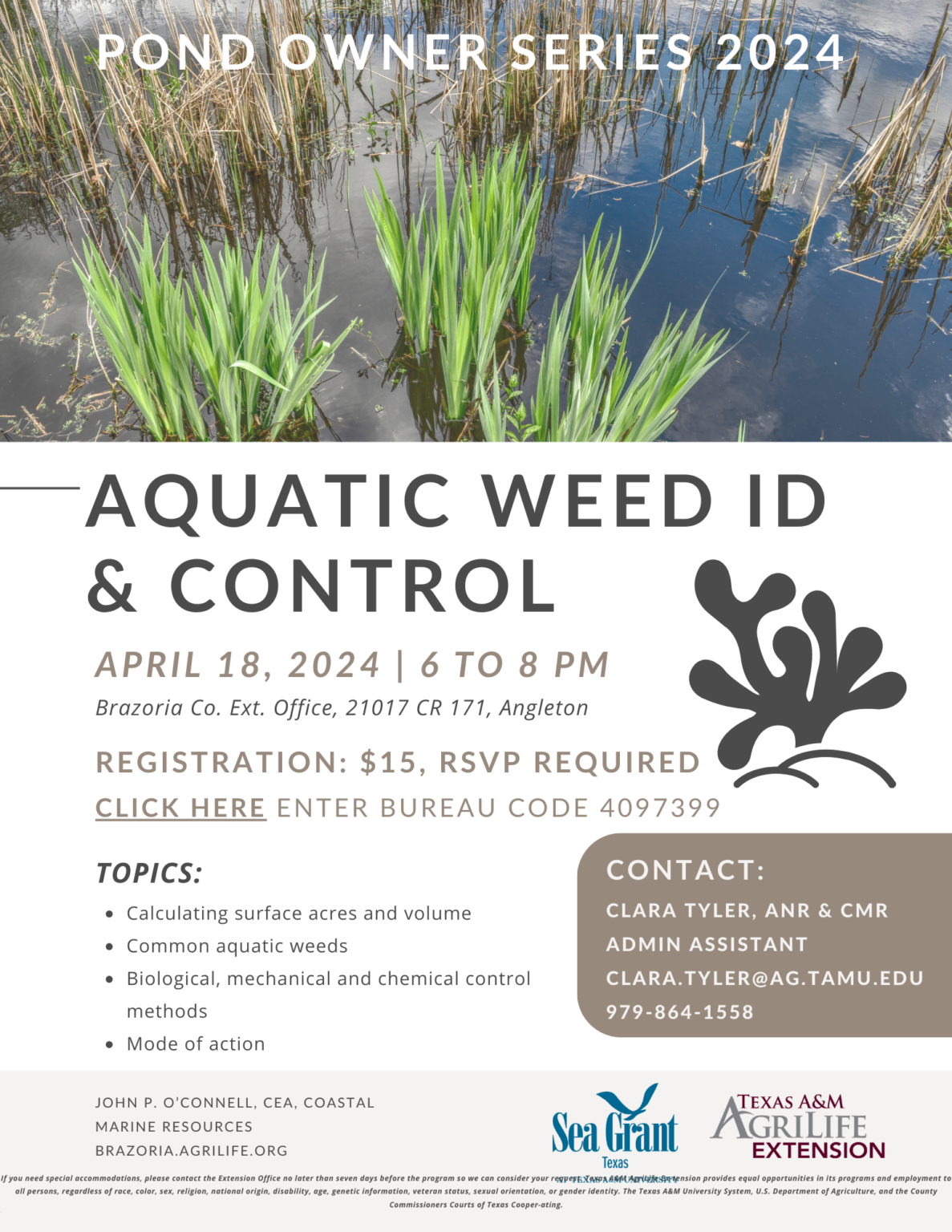 Aquatic weed ID (1)