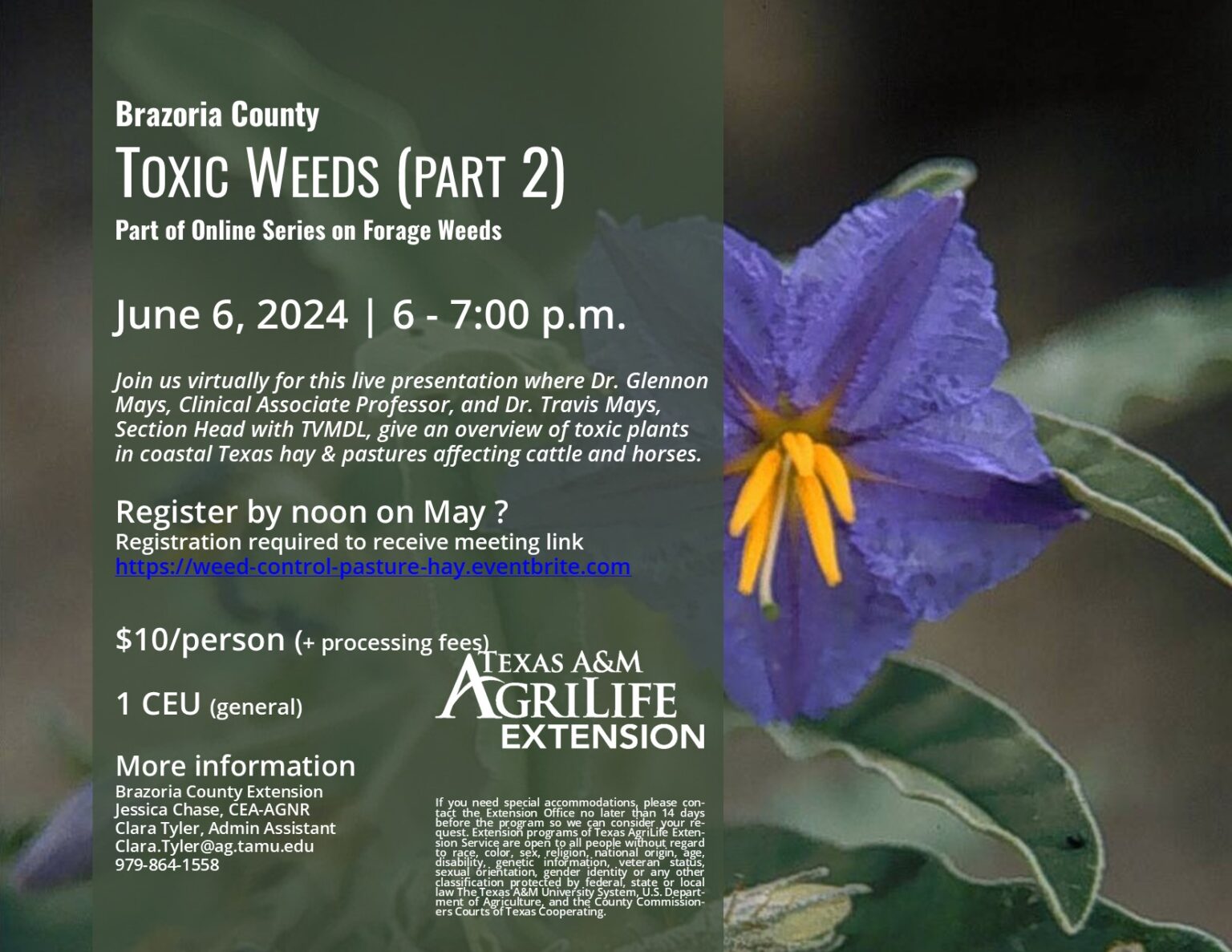 FLYER-Toxic Weeds Part 2 JUNE 6, 2024