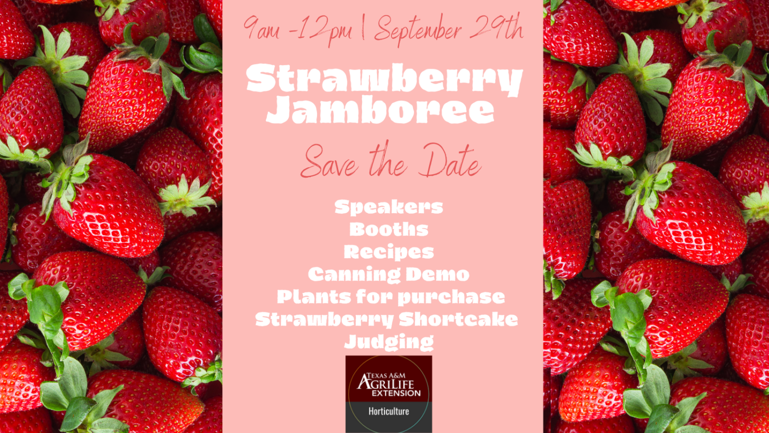 Strawberry Jamboree (003)